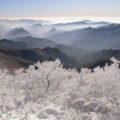 The 24 Seasons of Korea